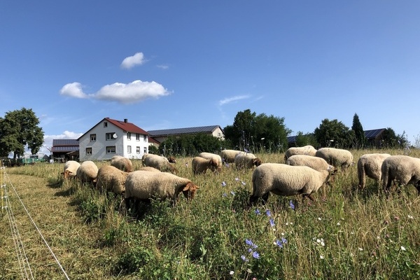 Berghof Berghof